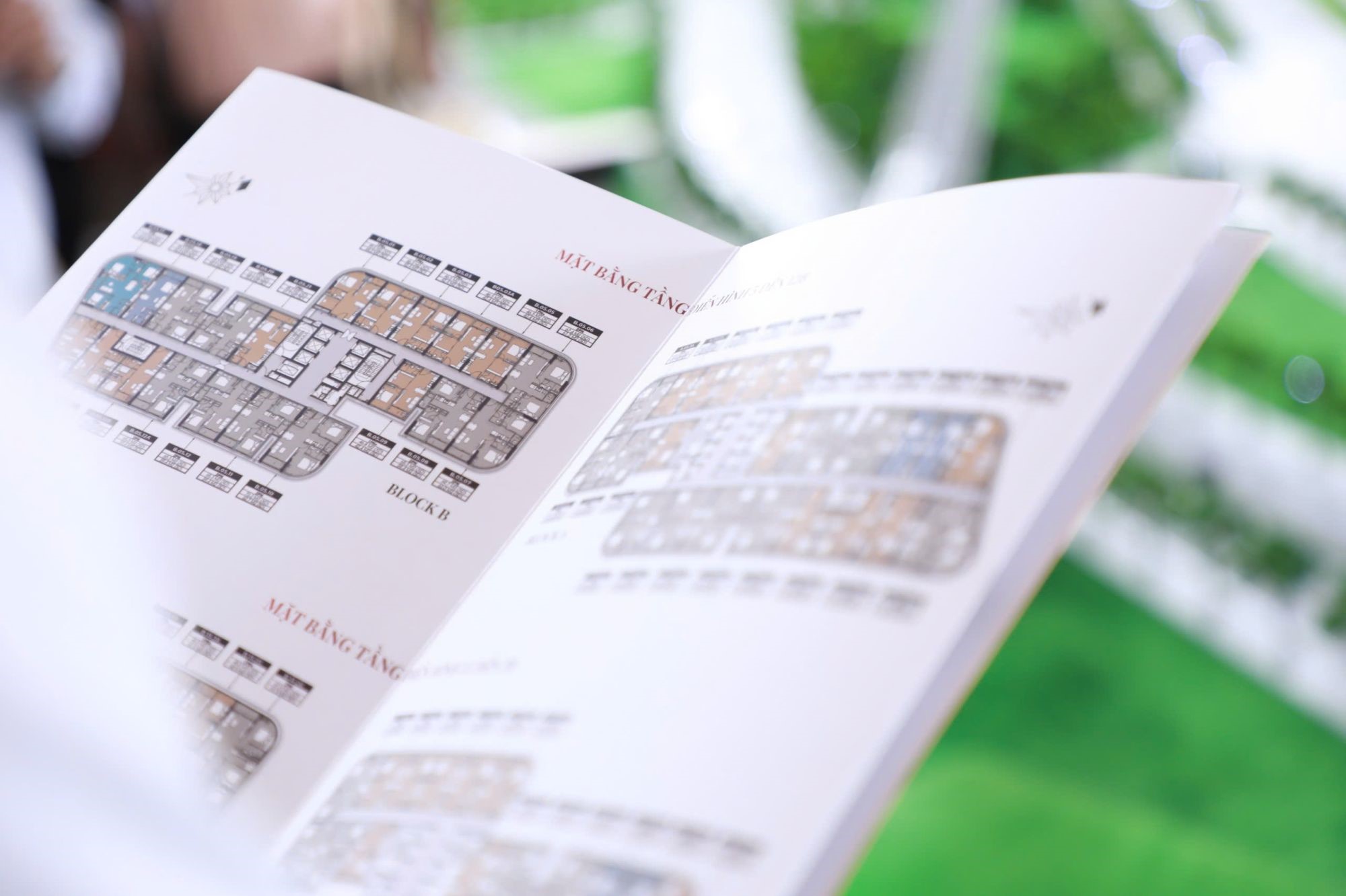 b4-65865441194387114972888